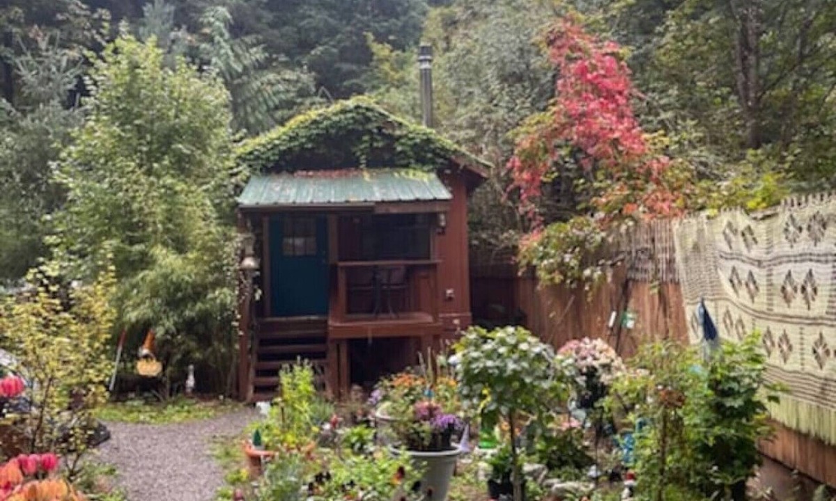 Marblemount Cabin | Mystic Ivy