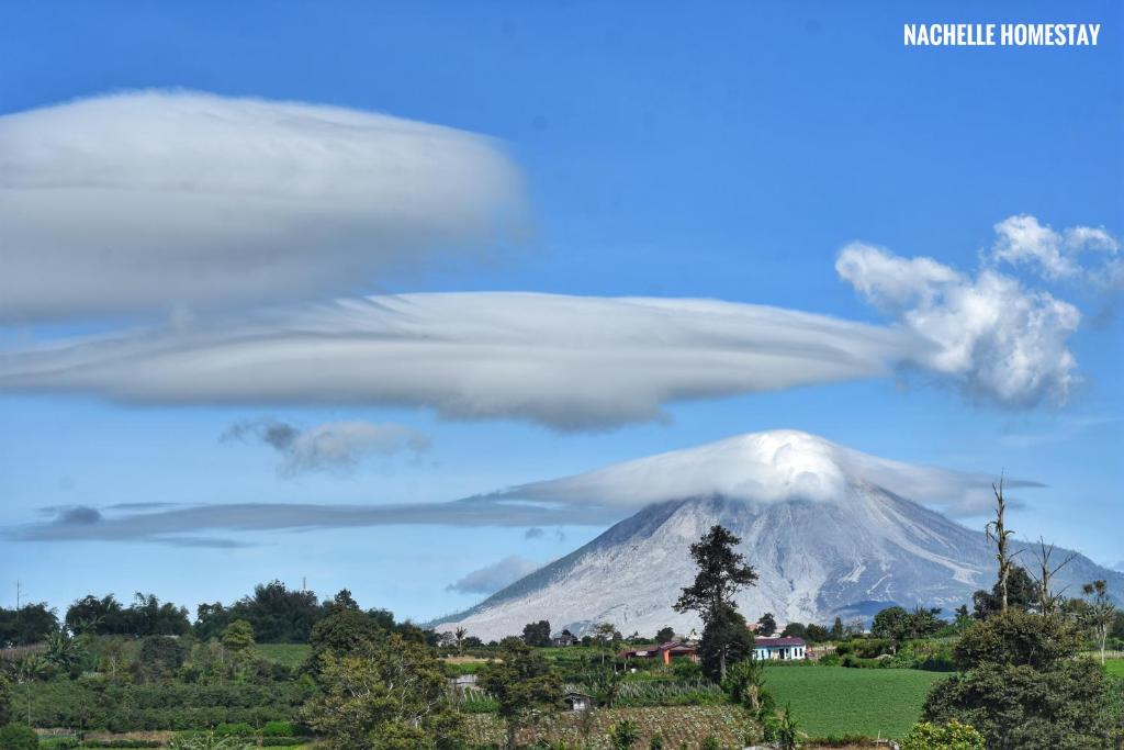 Berastagi Bed & Breakfast | Nachelle Homestay