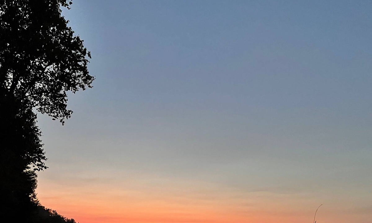 Purdy House | NALA'S LAKEHOUSE RETREAT- WATERFRONT AND OVER 1 ACRE TREE LINED PRIVATE PROPERTY