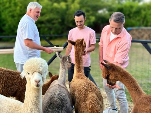 Limalonges Bed & Breakfast | Nana Mac Chambre D'hôtes