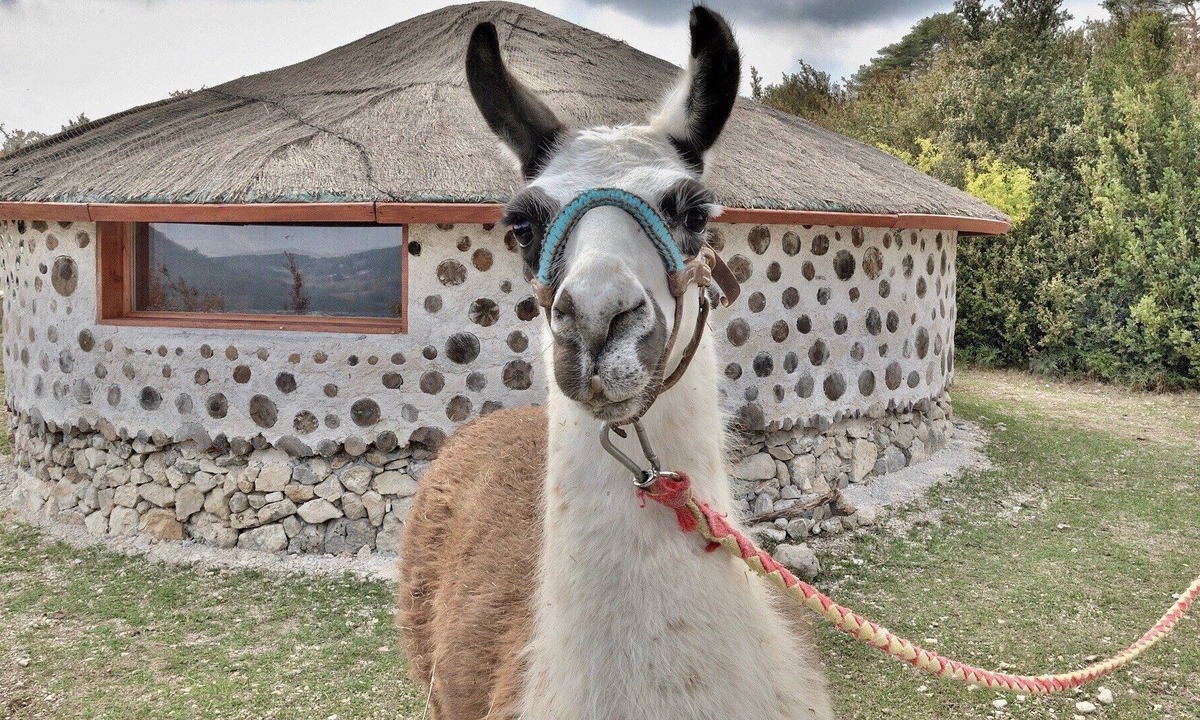 Bargeme Cabin | Natural African Case