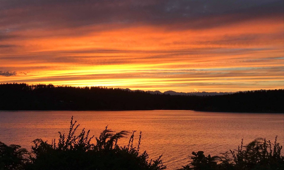Burley House | Nature Awaits on Harstine Island!