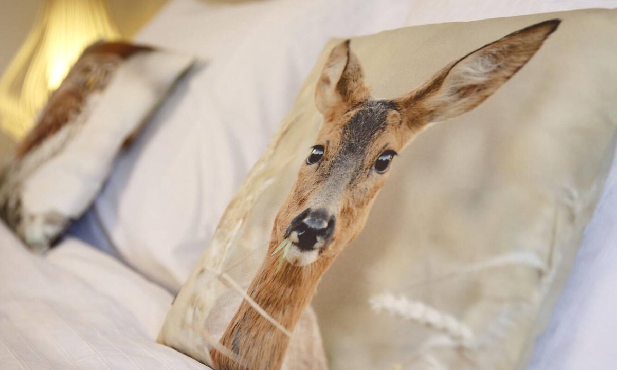 Chinon Apartment | NATURE & CHATEAUX Apartment-Private Bathroom