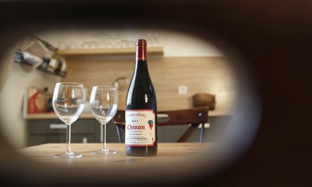 Chinon Apartment | Nature & Chateaux, Gite "Chenonceau"