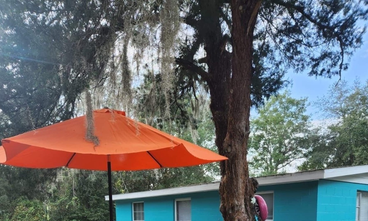 Lakeside House | Nature Cozy Home