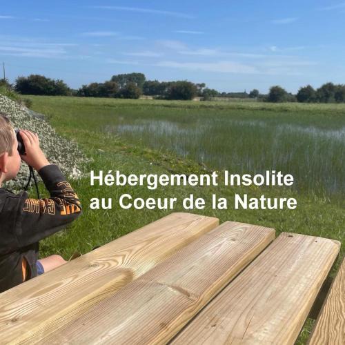 Quend Other | Nature en Somme
