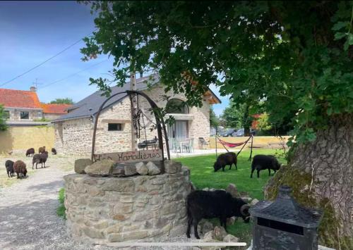 Bellevue House | Nature en ville