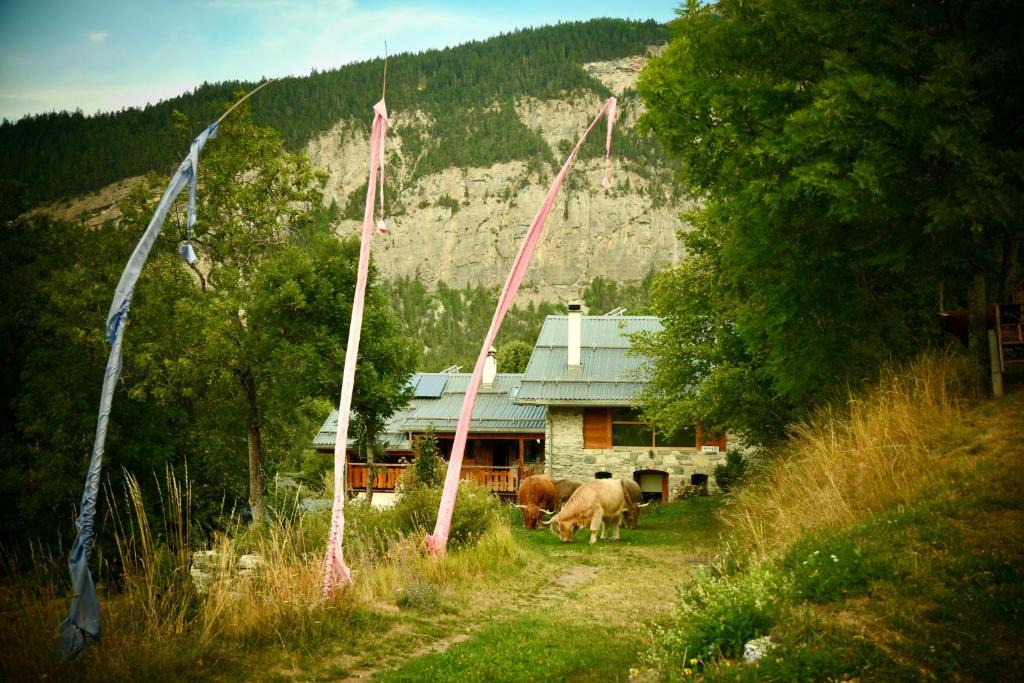 Crans-Montana House | Nature et Sérénité Chez Allan
