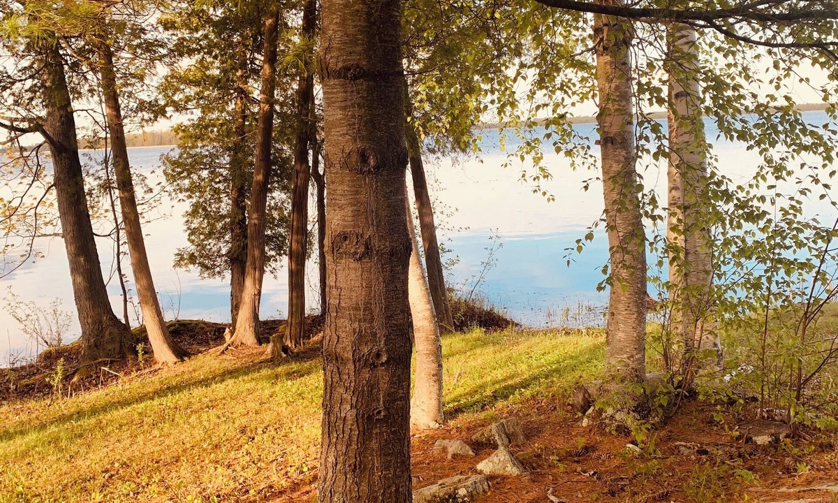 Rideau Lakes Ski Chalet | Nature Lovers - Waterfront - Lower Rideau Lake - Pet-Friendly!