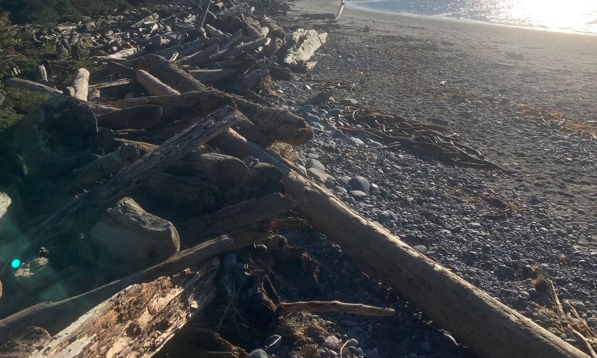 Oak Harbor House | Nature's Backyard Ocean Getaway