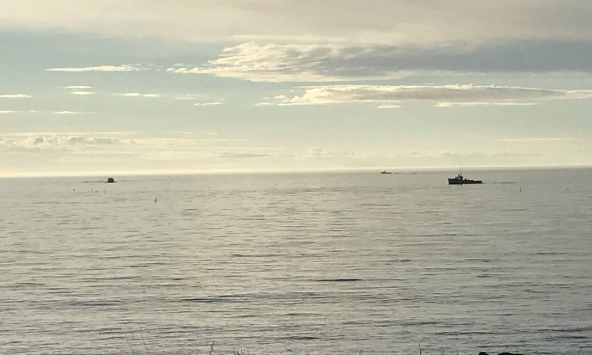 Tignish Cottage | Nature's peace, quiet and serenity. with virtually your own sandy beach!