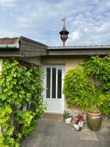 Aalborg House | Naturlig Ro