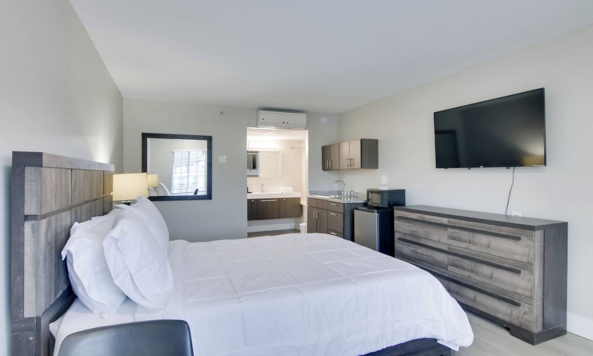 Sheffield Park Apartment | Near Hospitals & Dwtn: Stylish Charlotte Studio