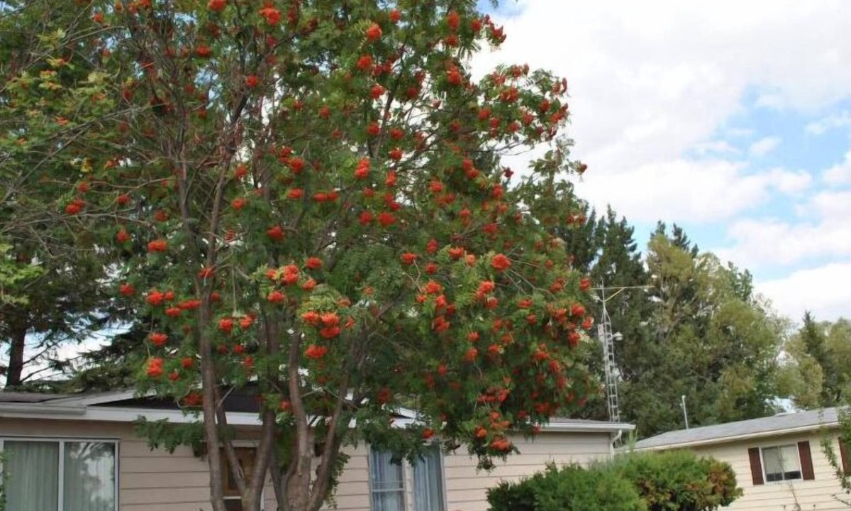 Neepawa Hotel | Neepawa motel