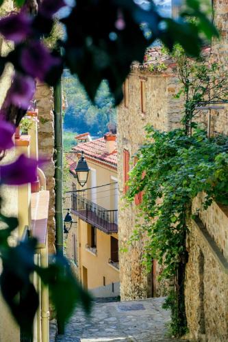 Amelie-les-Bains-Palalda Apartment | Neptune T2 Meublé de tourisme 3 étoiles - forfait cure sur demande