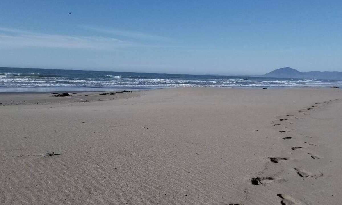 Gold Beach Cottage | Nesika Beach Bluff Cottage