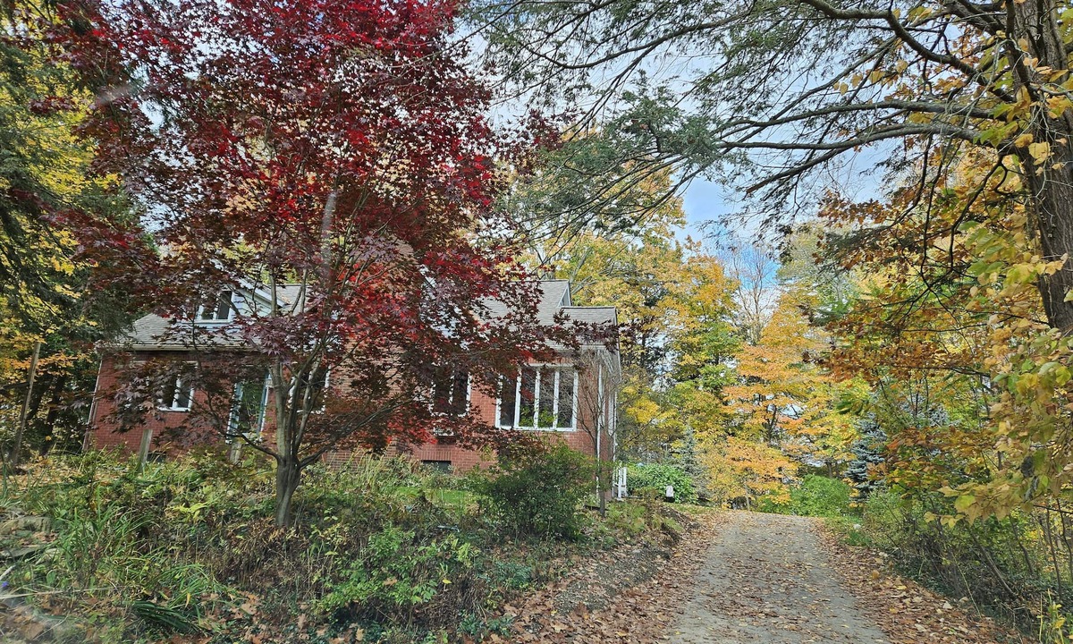 Fairview House | NESTLED IN THE WOODS
