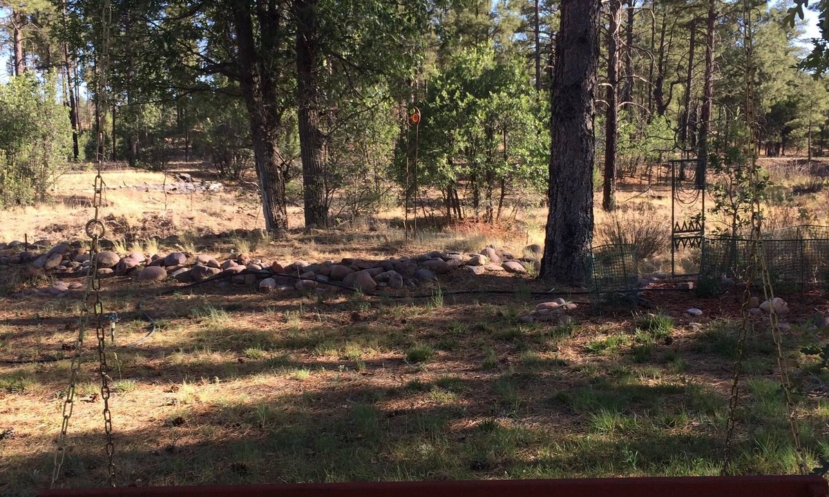 Clay Springs Apartment | New! Artistic Studio Retreat that is Quiet & Relaxing, Bordering National Fores