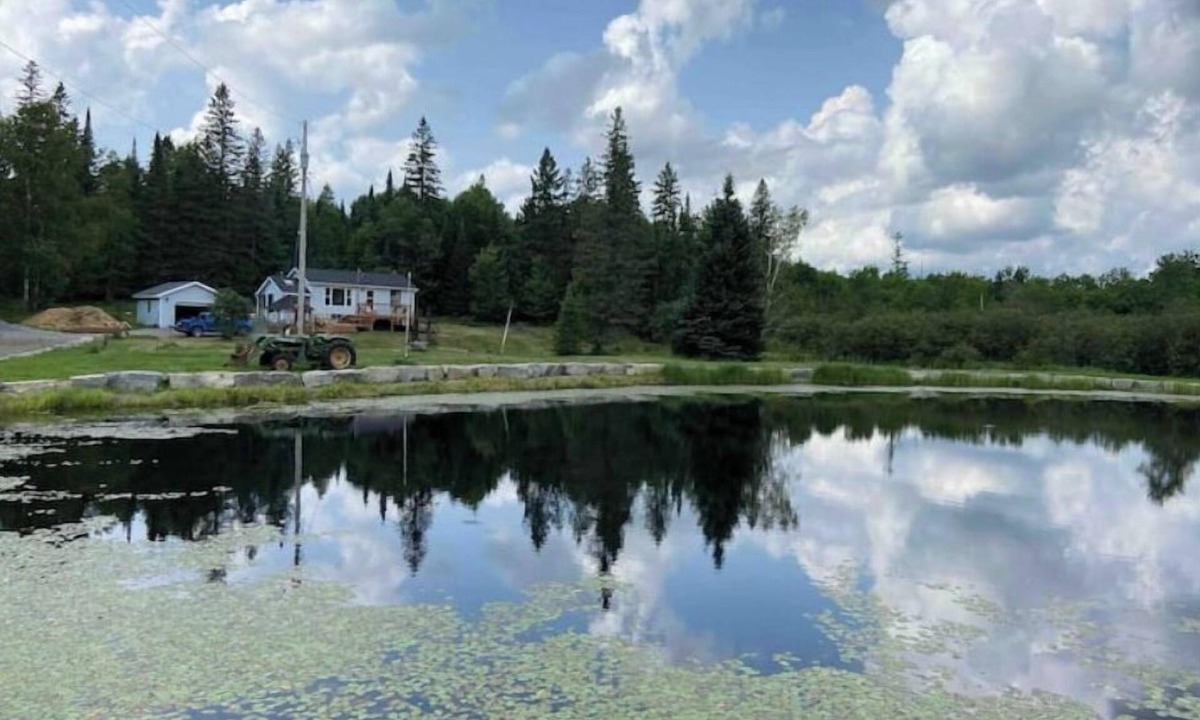 Irondale Cottage | New Cozy and Private Cottage - Trent Lakes.