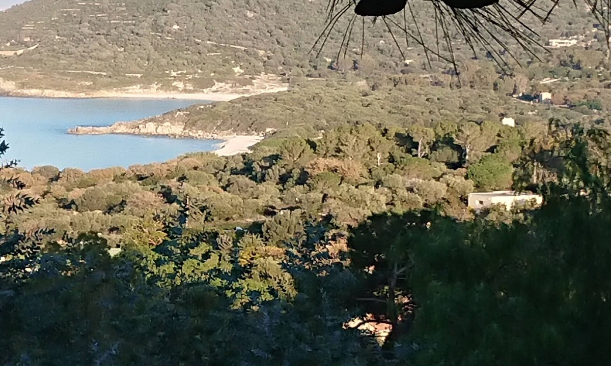 Marine de Davia House | New detached house