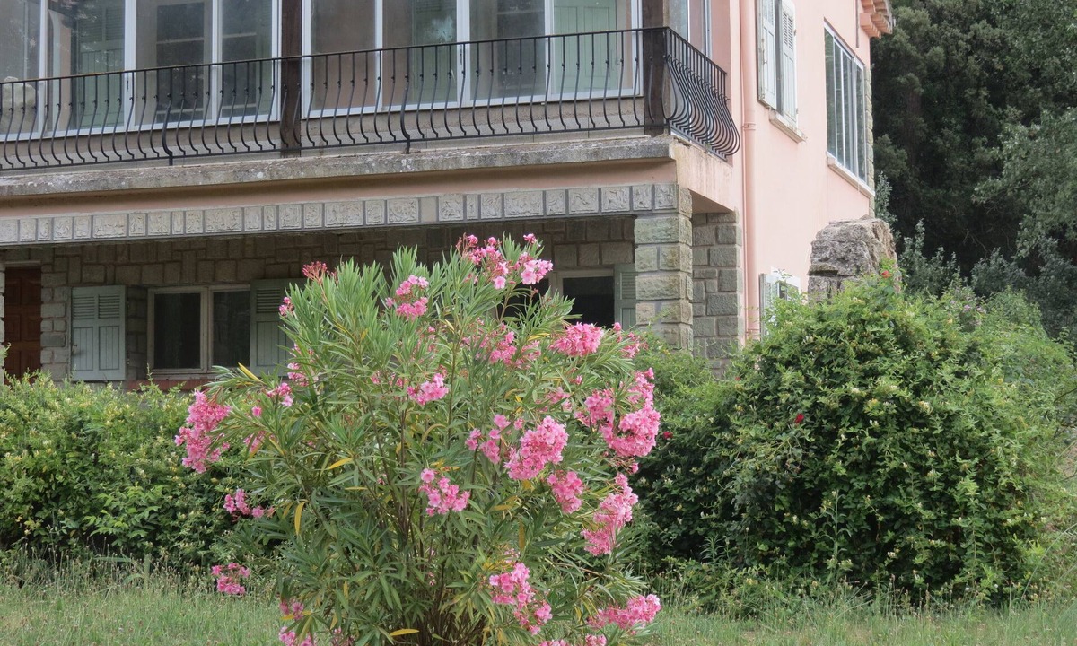 Le Thoronet Cottage | NEW EGLANTINE STUDIO GITE