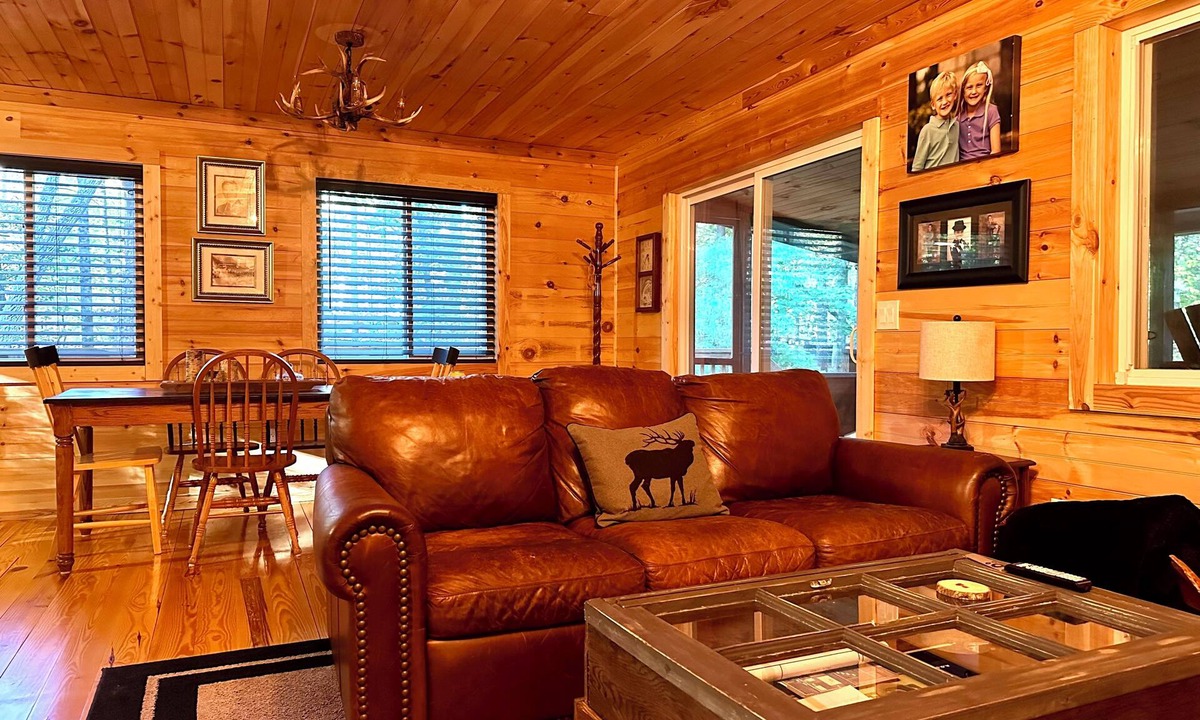 Murphy Cabin | NEW! HOT TUB; FIREPIT; FAST WIFI; Near Blue Ridge, Blairsville, Folk School
