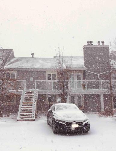 Collingwood Villa | New Management - Collingwood Getaway