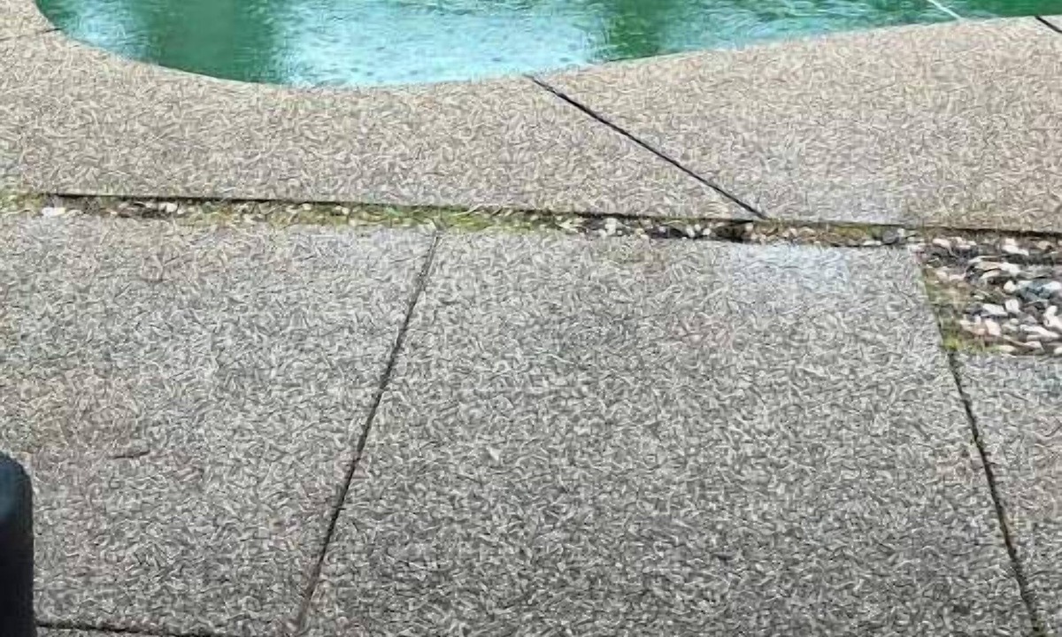 Carmichael House | New Mini home