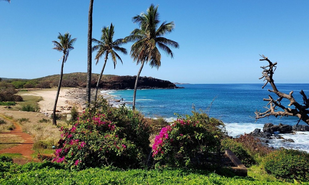 Maunaloa Condo | NEW! Molokai Lei Over