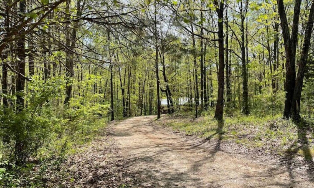 Seligman House | New!No cleaning fee! Pvt. Ozark Home @Roaring River Park. Near Eureka Springs AR