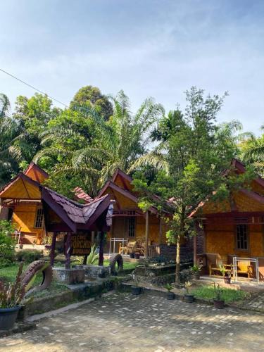 Sei Pinang Other | New orchid