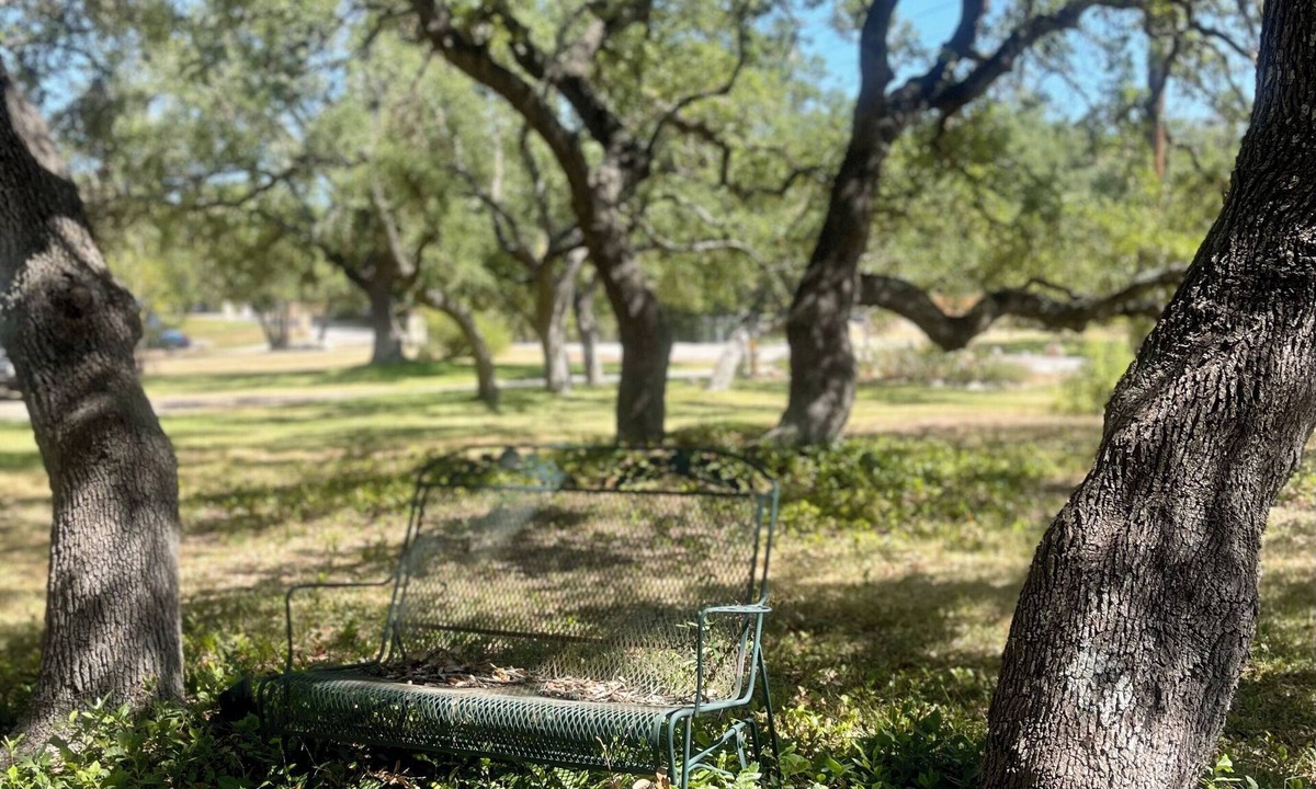 Steiner Ranch House | NEW! Private Wooded Escape Between 2 Lakes Walk to 1 BYO Boat Pet-friendly