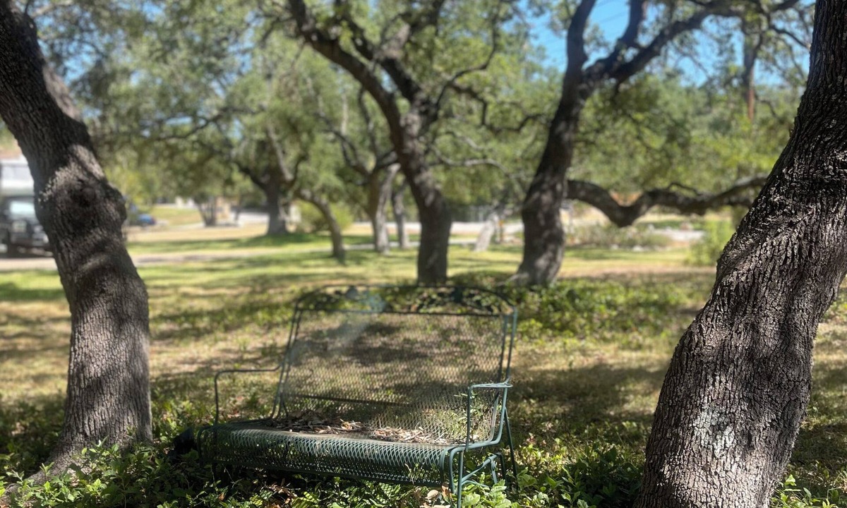 Steiner Ranch House | NEW! Quiet Wooded Home Between 2 Lakes Walk to 1 Pet-Friendly
