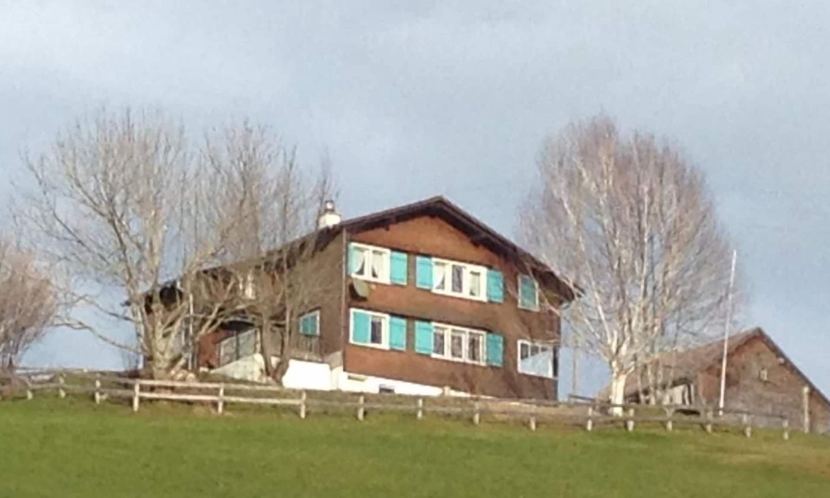 Wildhaus House | New Sigerst, House