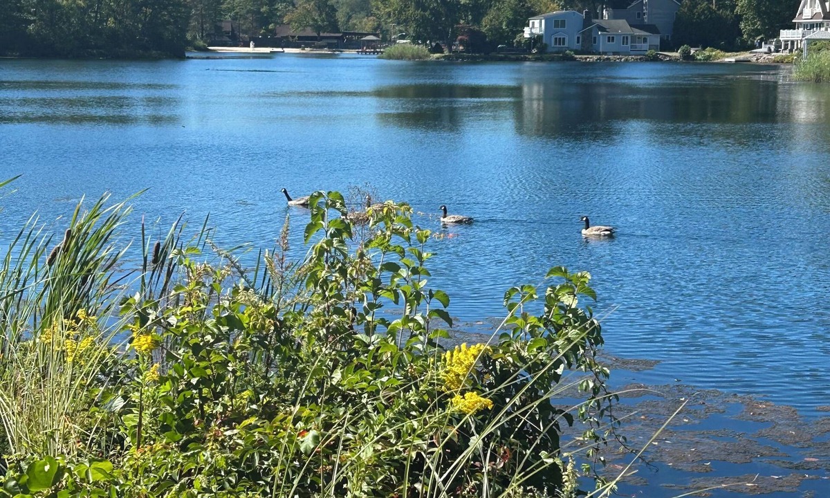 Denville Apartment | New & spacious Lake front 1 bedroom apartment located on Lake Arrowhead.