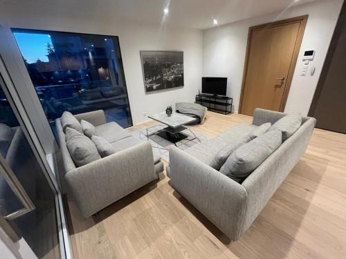 Pully Apartment | Newly built 2-Bed Flat with parking in Pully