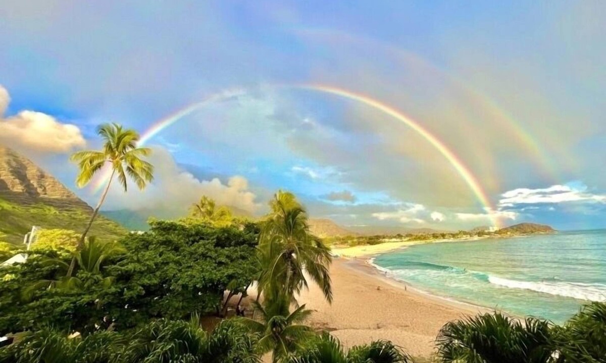 Makaha Apartment | Newly Renovated Beachfront Studio with Free Parking and All-in-one Washer/Dryer