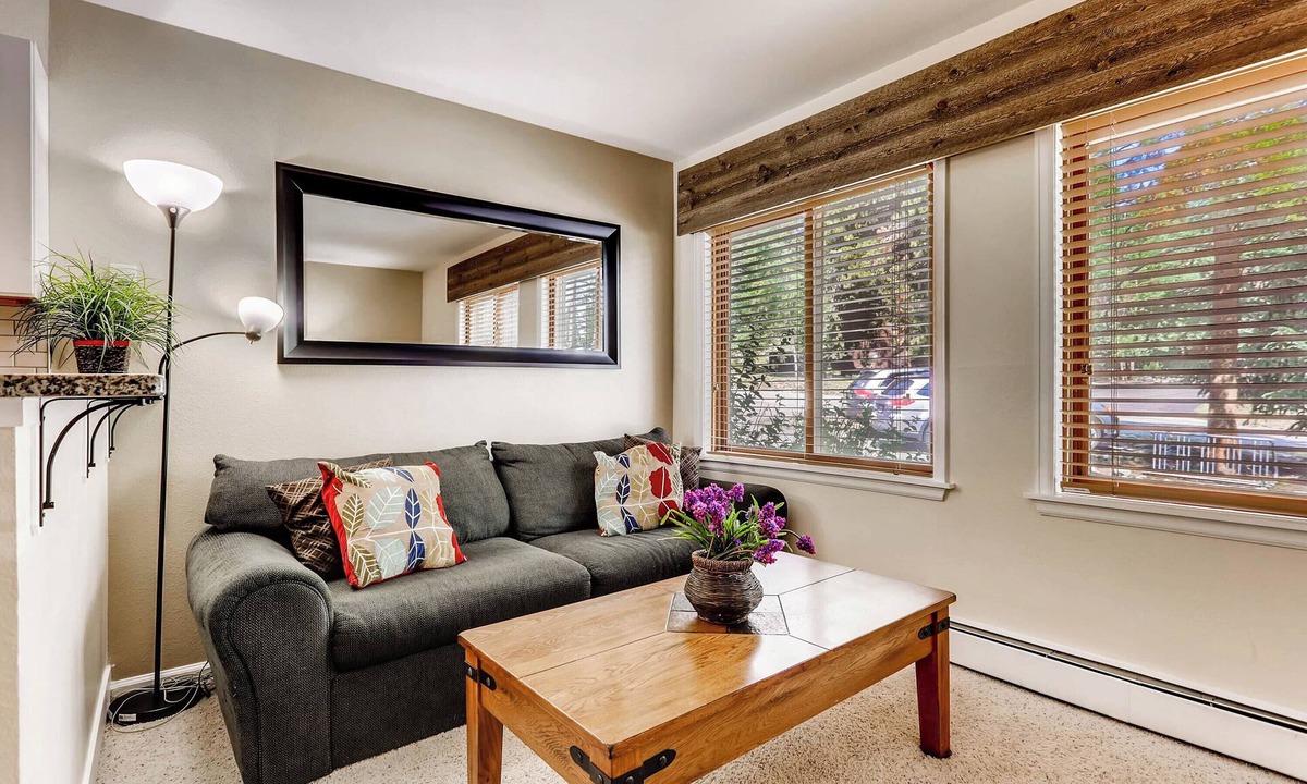Four O'Clock Condo | Newly Renovated Building-1 Bedroom Condo. Recent Updates, Ski In, Walk to Main S