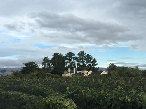 Gladstone Bed & Breakfast | Nga Pari Vineyard