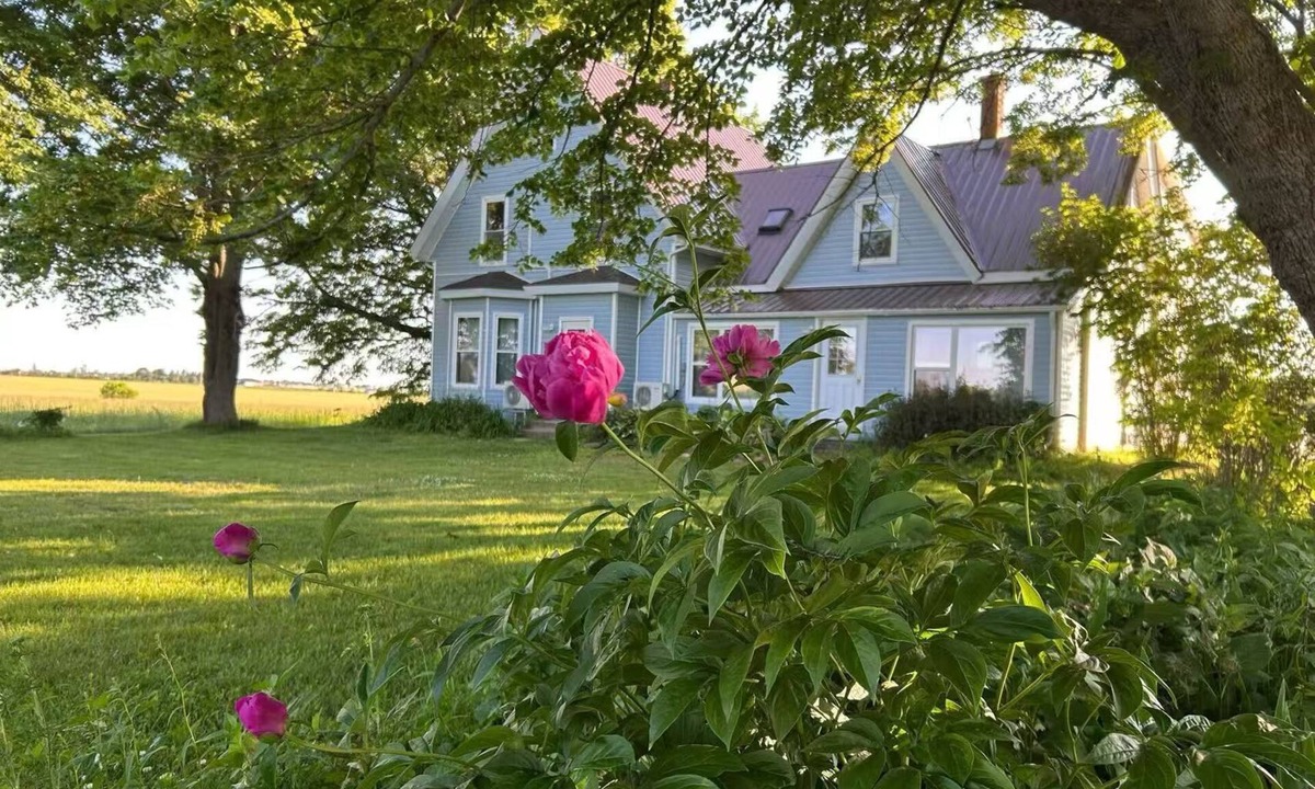 Borden-Carleton Apartment | nGarden View near Confederation Bridge and beaches