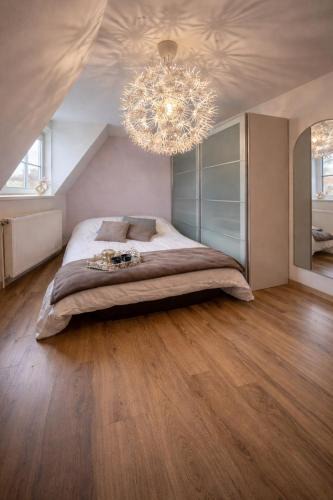 Sequedin House | Nic