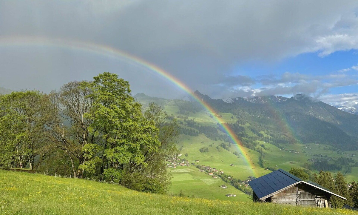Zweisimmen Apartment | Nice apartment for 3 people with WIFI, balcony and pets allowed