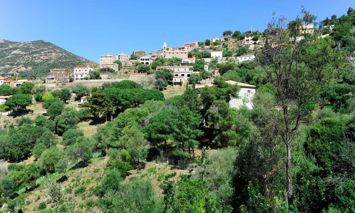 Partinello Apartment | Nice apartment for 4 people with A/C, WIFI, TV, patio, pets allowed and panoramic view