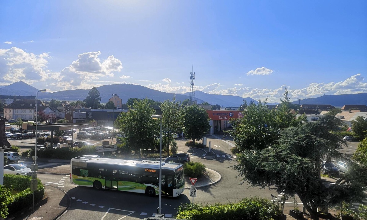 Selestat Apartment | Nice apartment 💖 "large balcony and private parking".