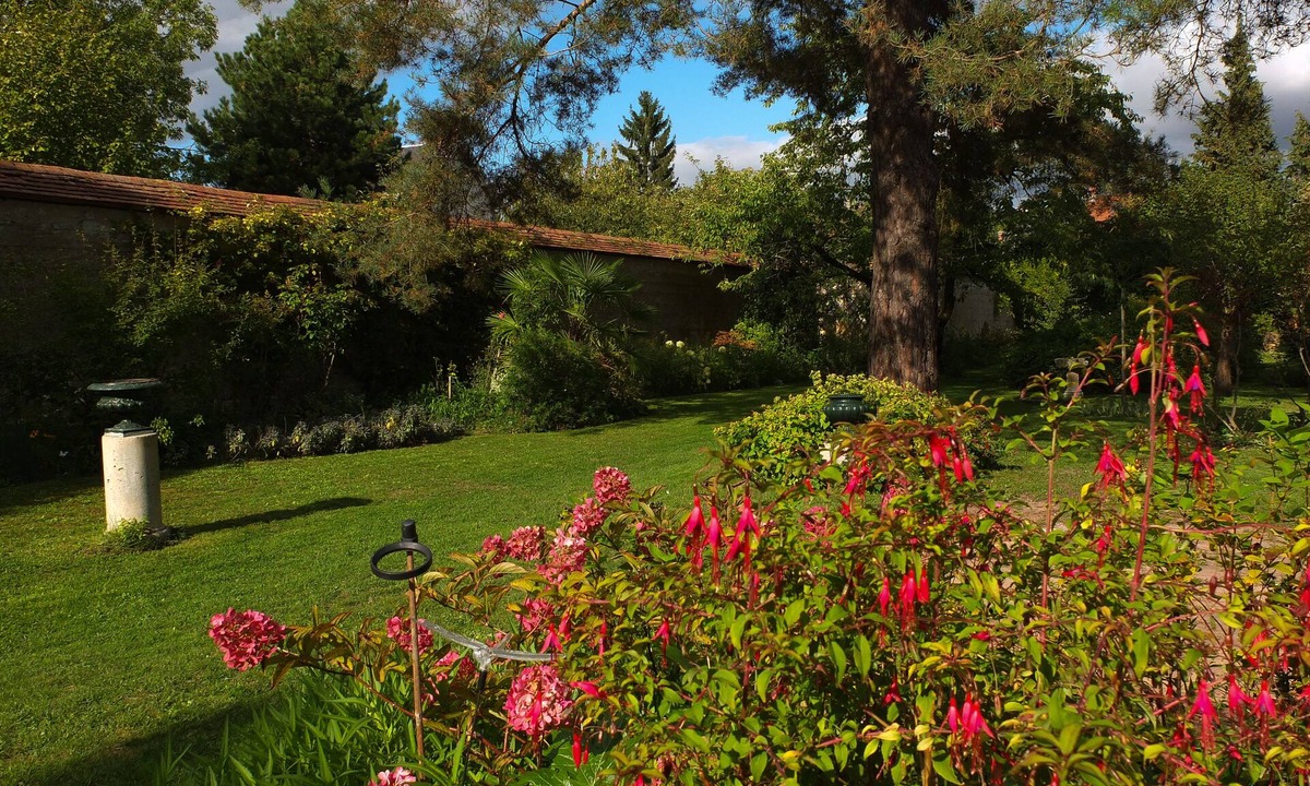 Souppes-sur-Loing House | Nice independent apartment near the river