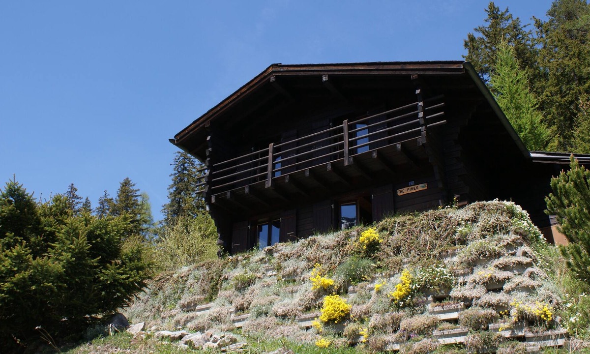 Champex-Lac Ski Chalet | Nice little chalet ideal for a family, garden, calm, rest, lake view