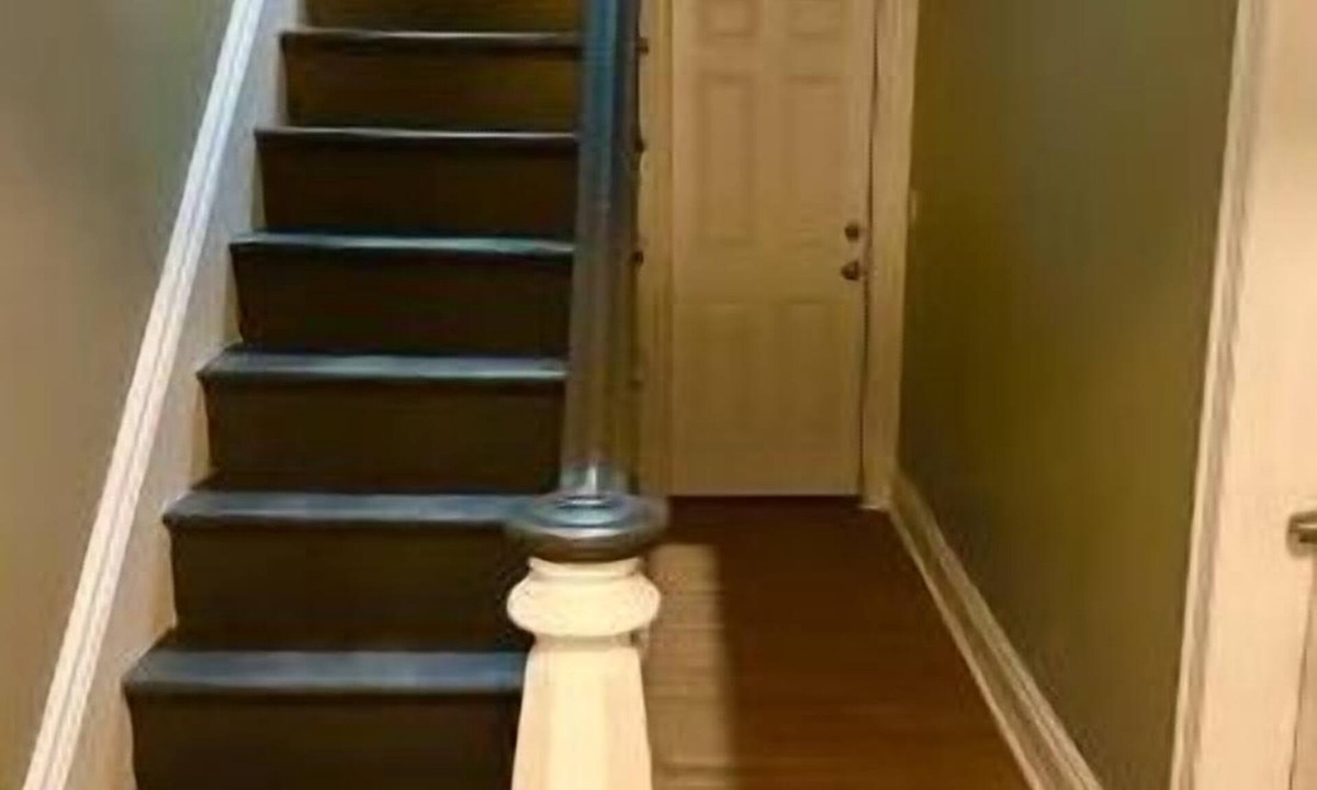 Elizabeth Apartment | Nice Modern 3BR 1BA - W Backyard