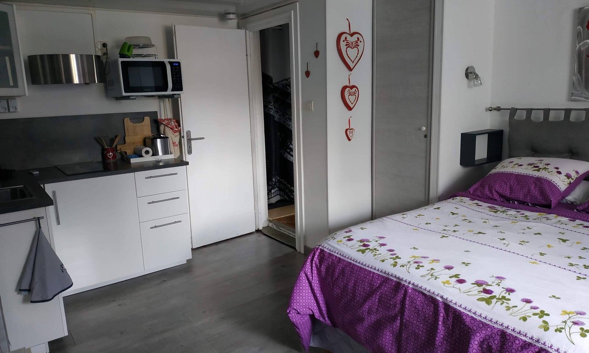Breuschwickersheim Cottage | Nice new studio near Strasbourg Label 2 *