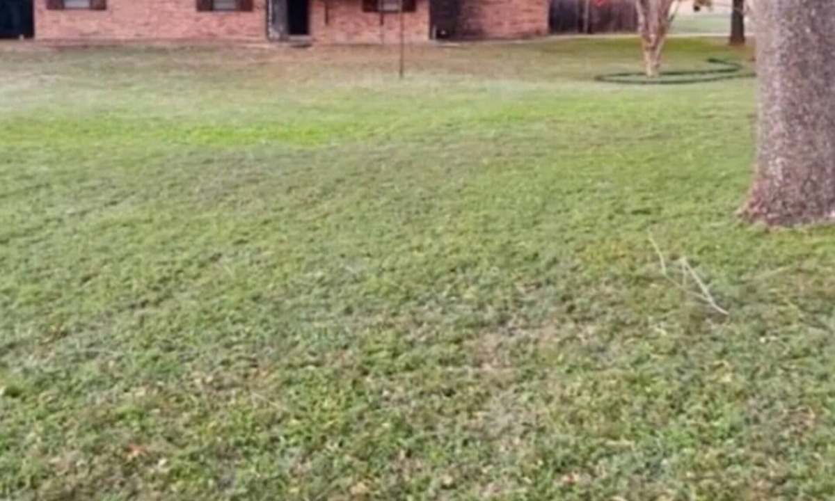 Belton House | Nice quiet neighborhood less than 2 minutes to the lake.