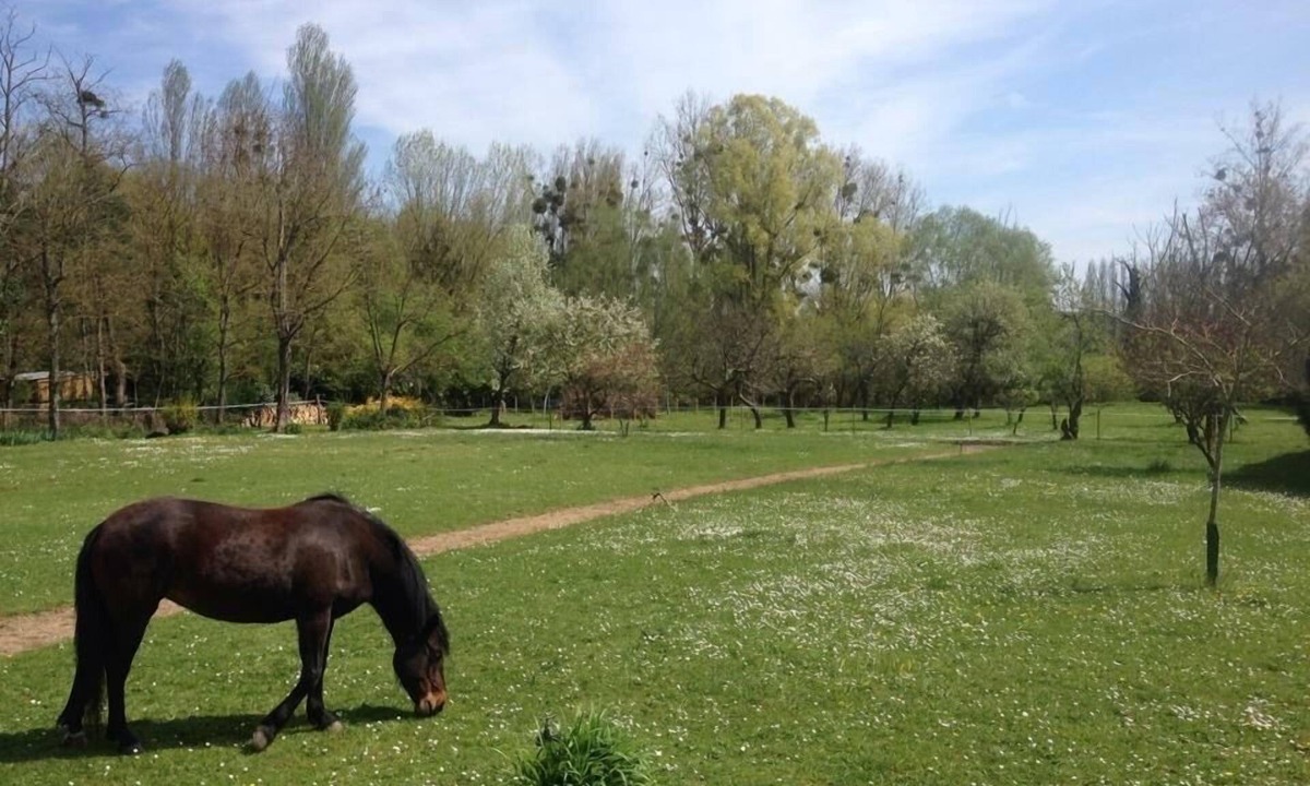 Montigny-sur-Loing Apartment | Nice studio at the water's edge